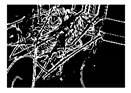 Entropy 23 00257 i016 Entropy 23 00257 i016