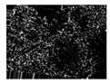Entropy 23 00257 i019 Entropy 23 00257 i019
