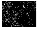 Entropy 23 00257 i020 Entropy 23 00257 i020