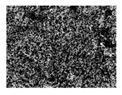 Entropy 23 00257 i023 Entropy 23 00257 i023