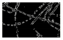 Entropy 23 00257 i036 Entropy 23 00257 i036