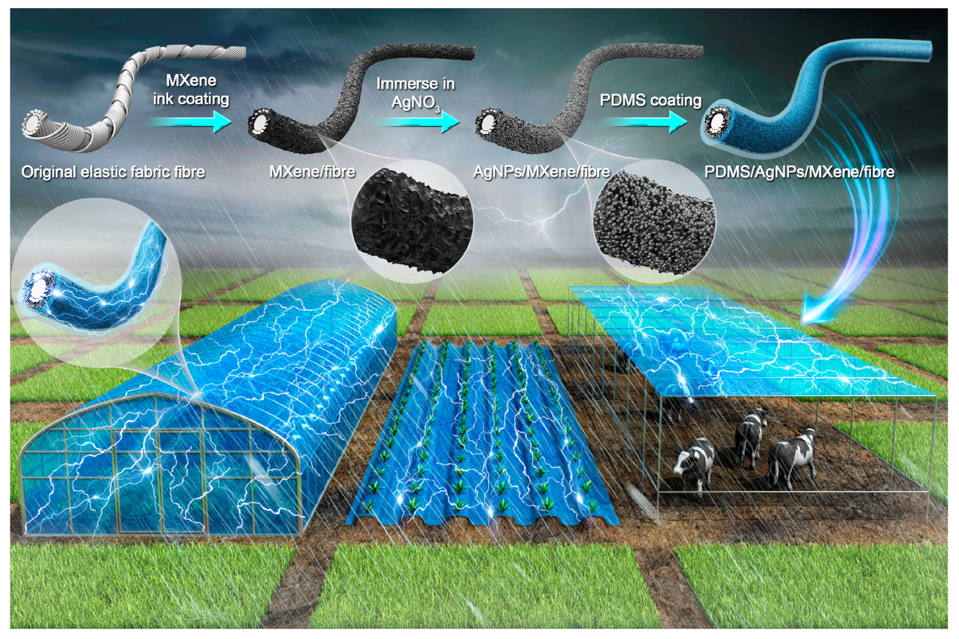 Entropy 23 00260 g001