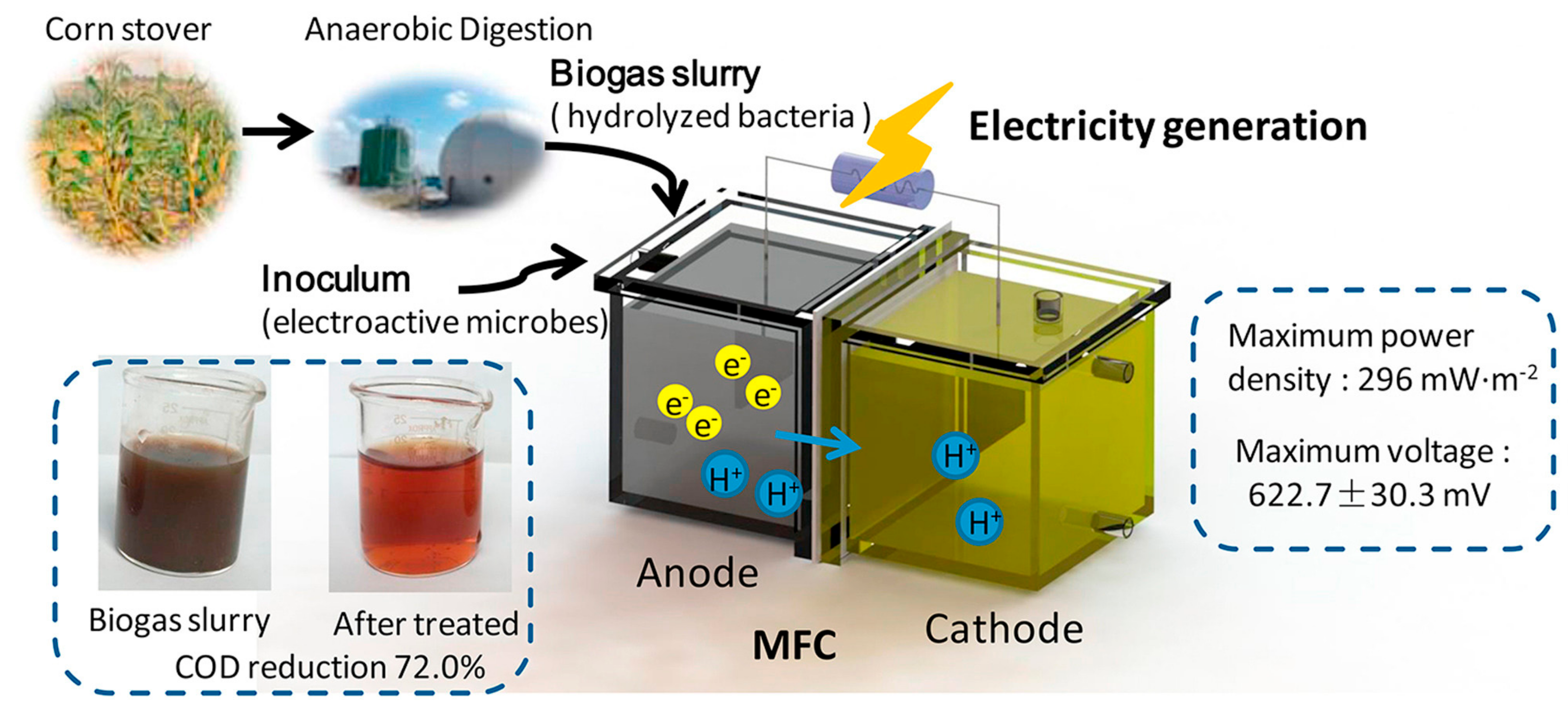 Entropy 23 00260 g003