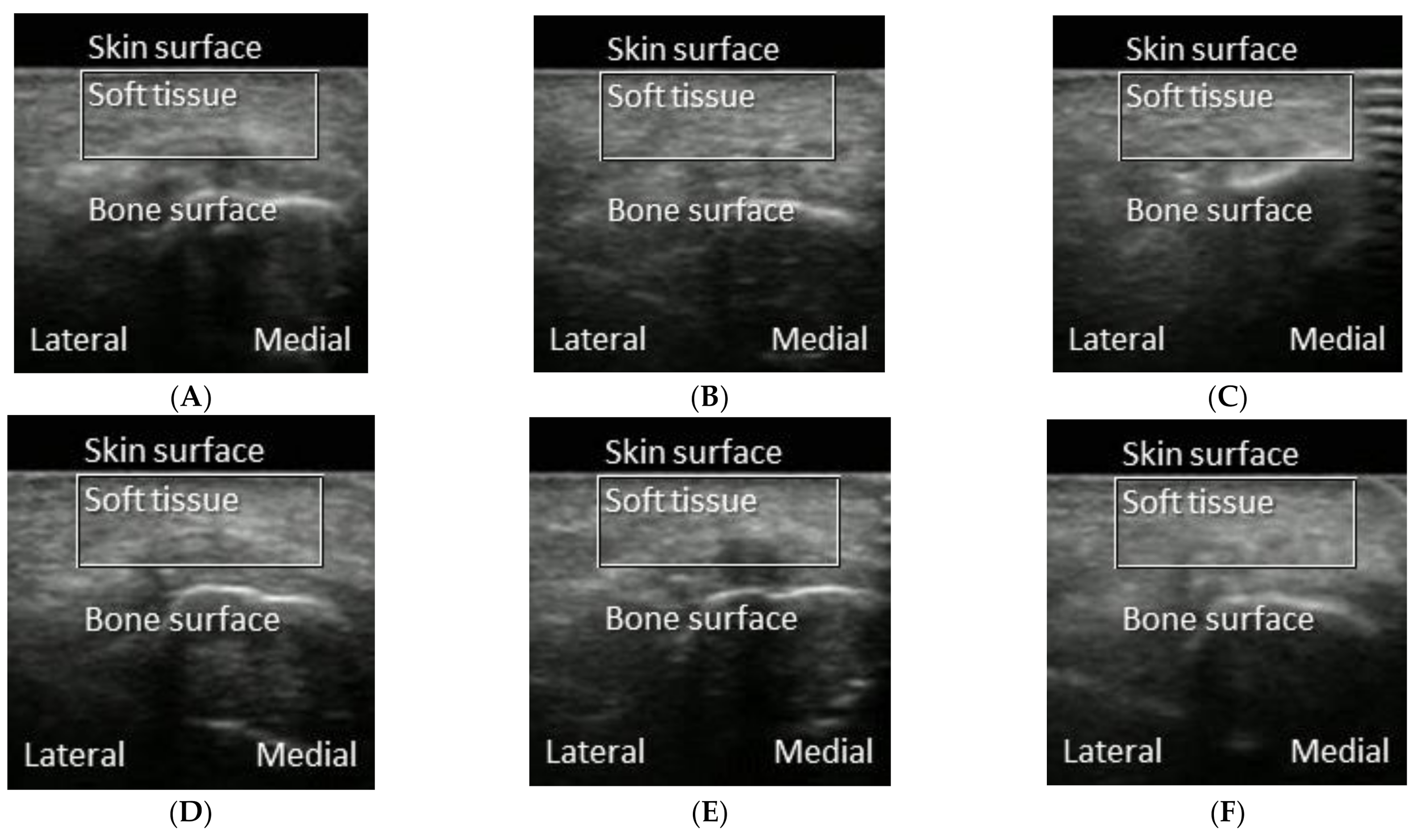 Entropy 23 00264 g001