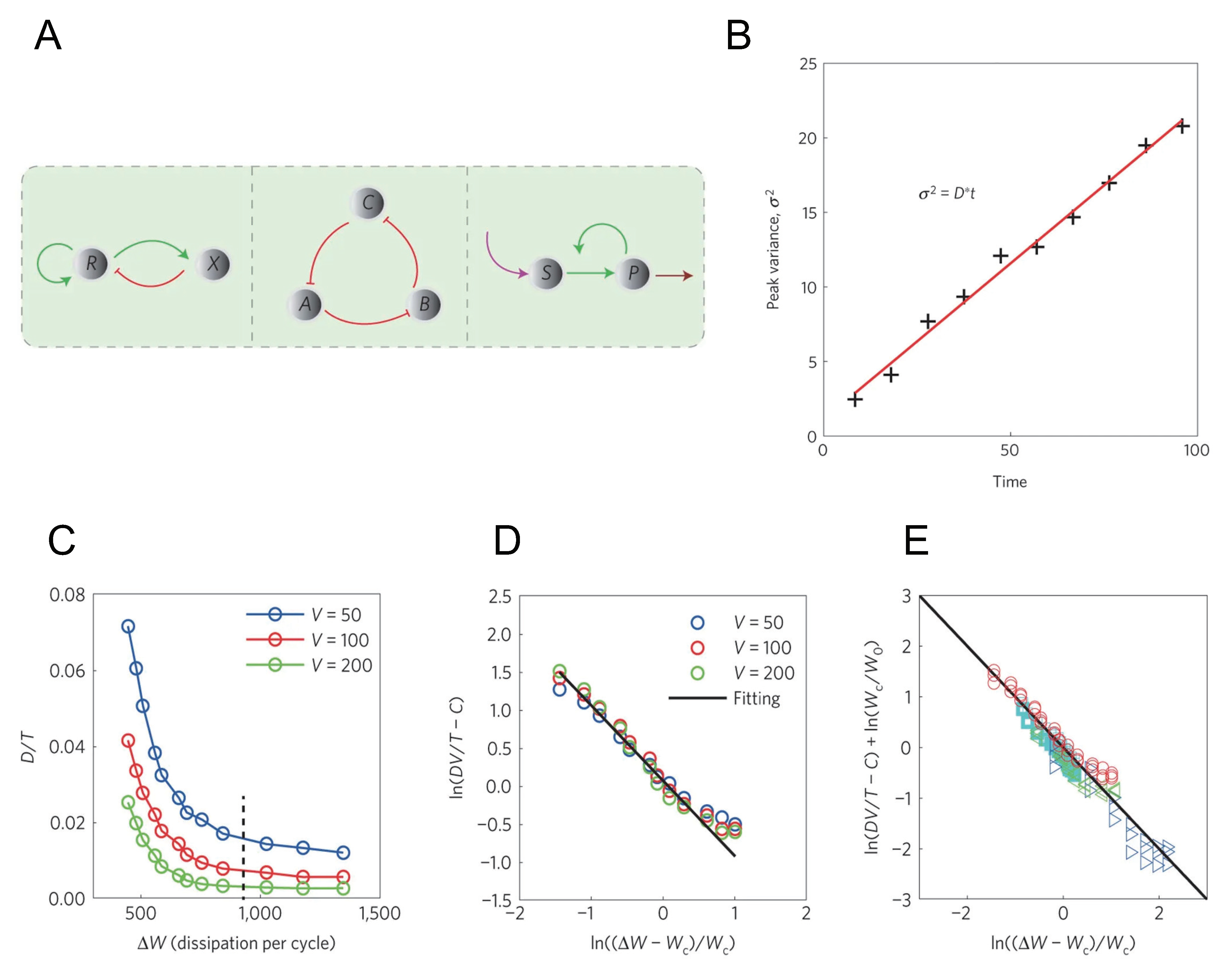 Entropy 23 00271 g003 Entropy 23 00271 g003