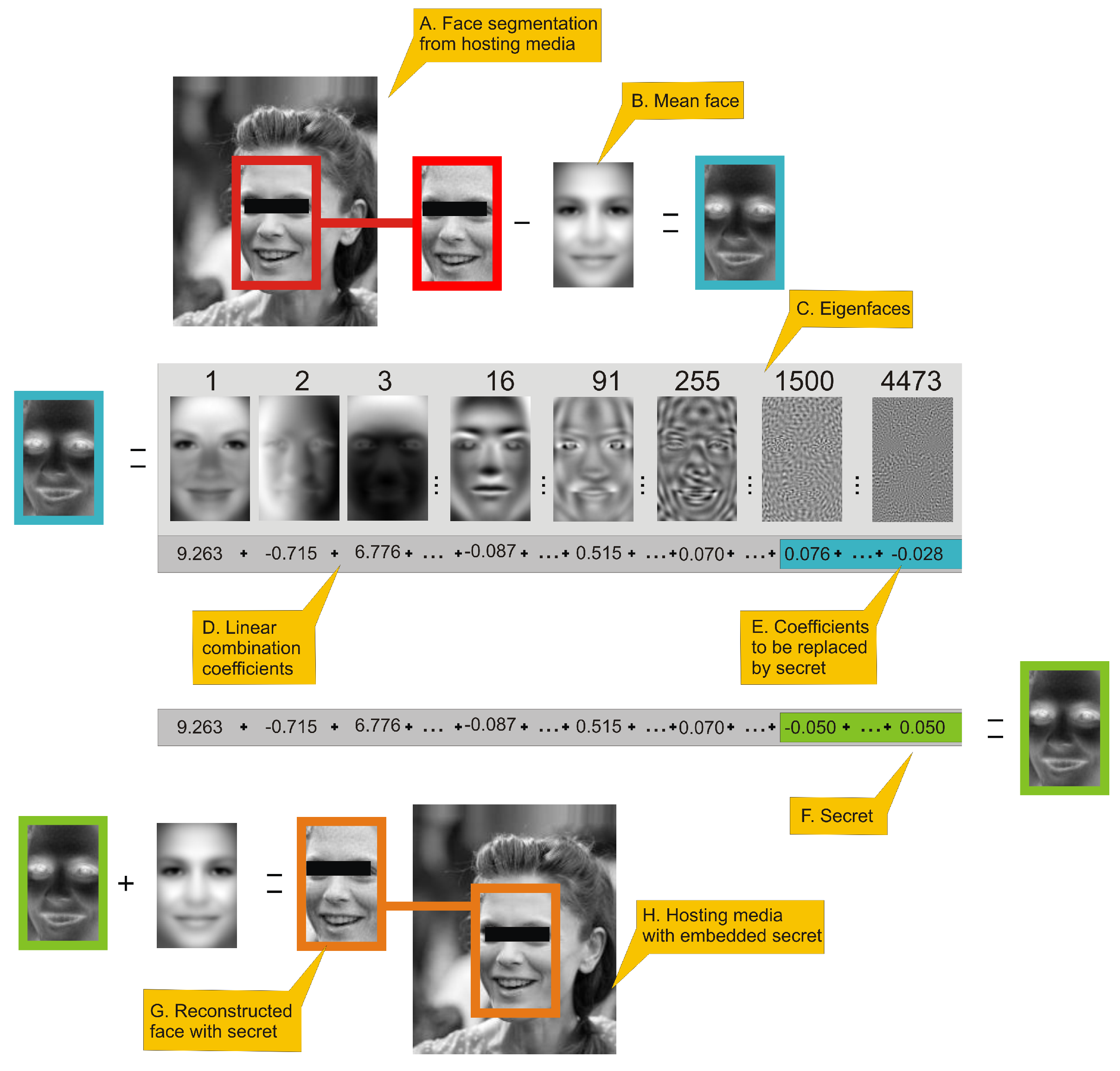 Entropy 23 00273 g001
