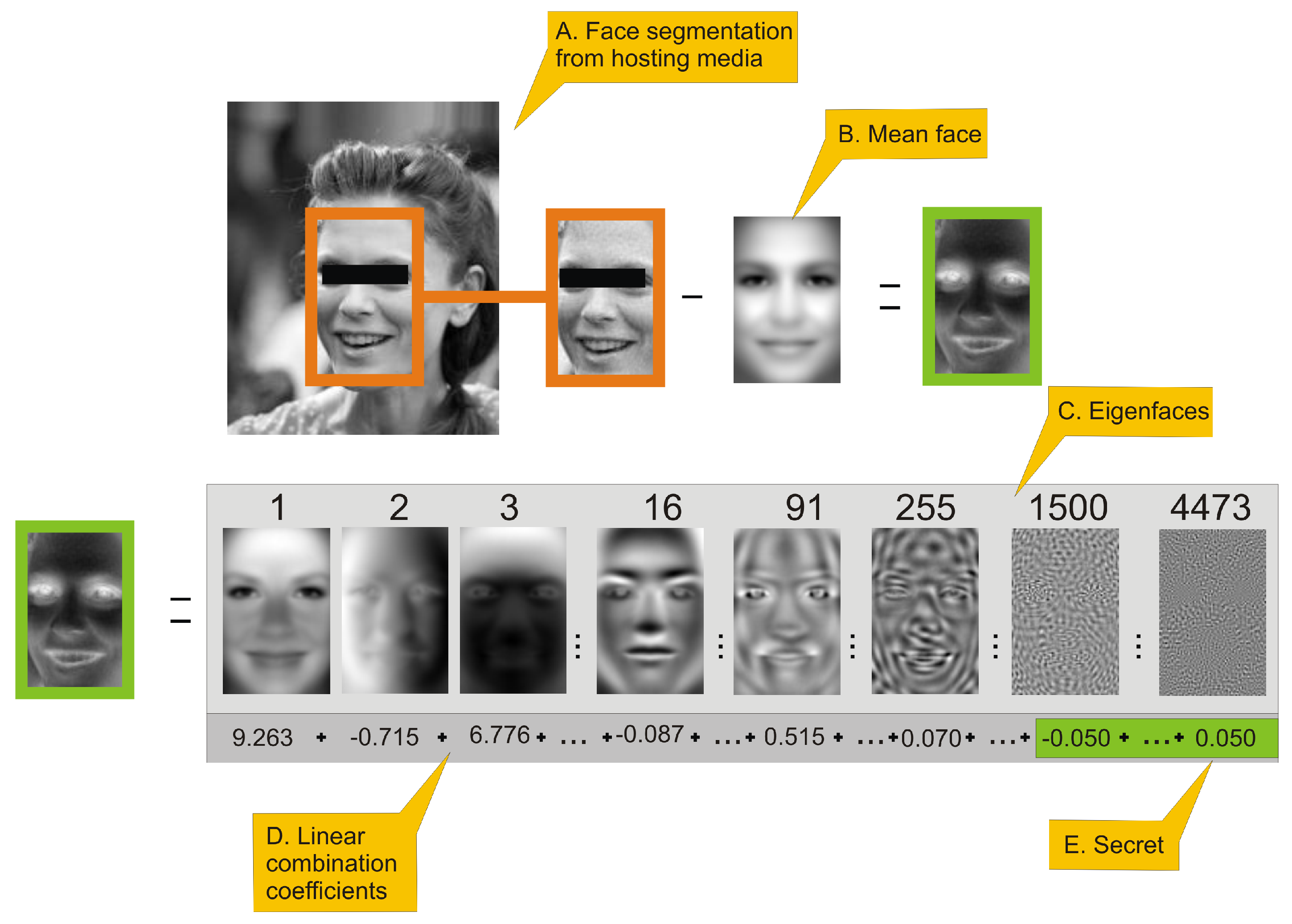 Entropy 23 00273 g002