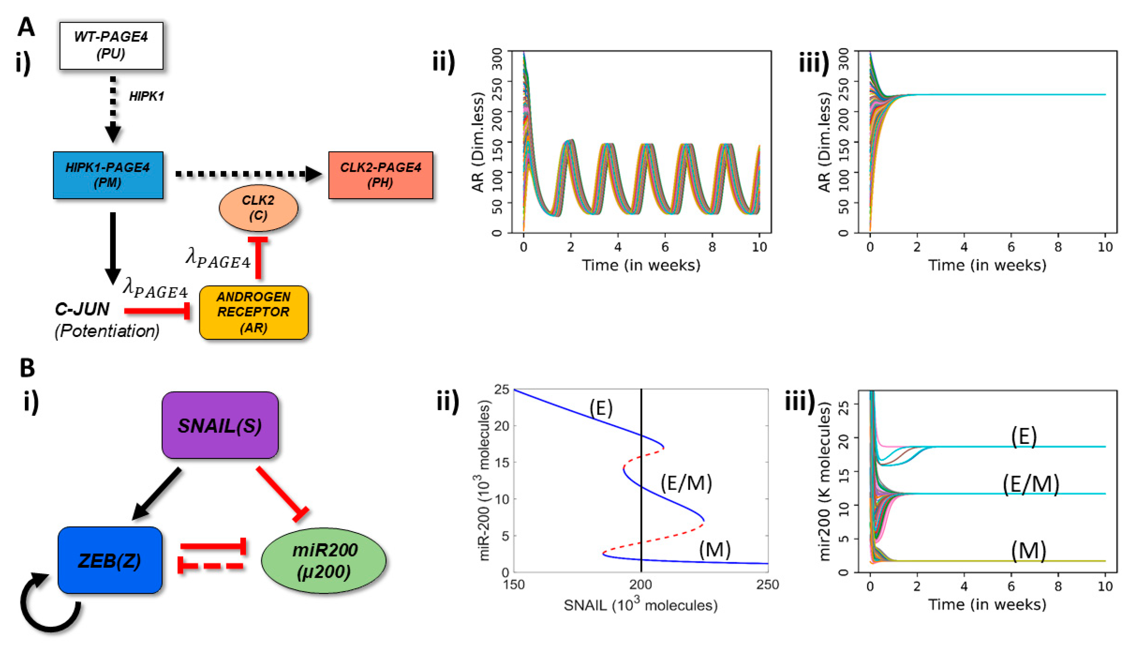 Entropy 23 00288 g001