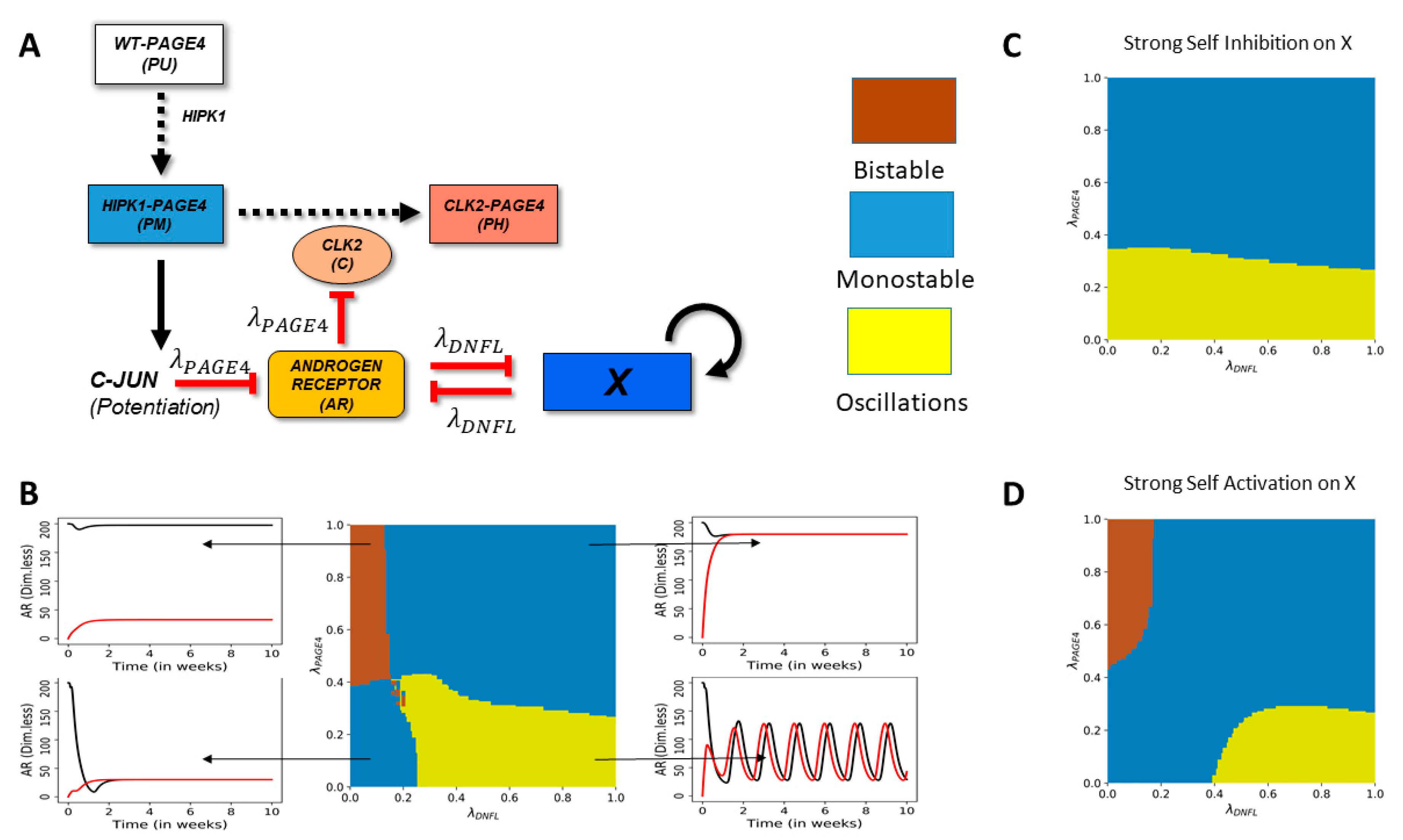 Entropy 23 00288 g002