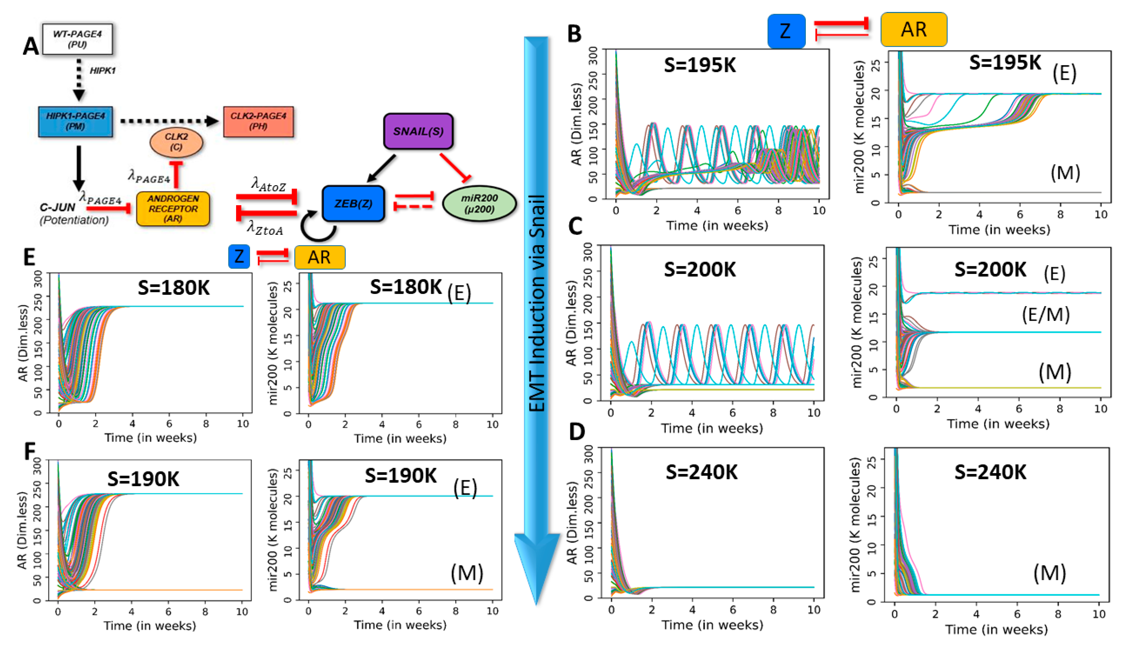 Entropy 23 00288 g003