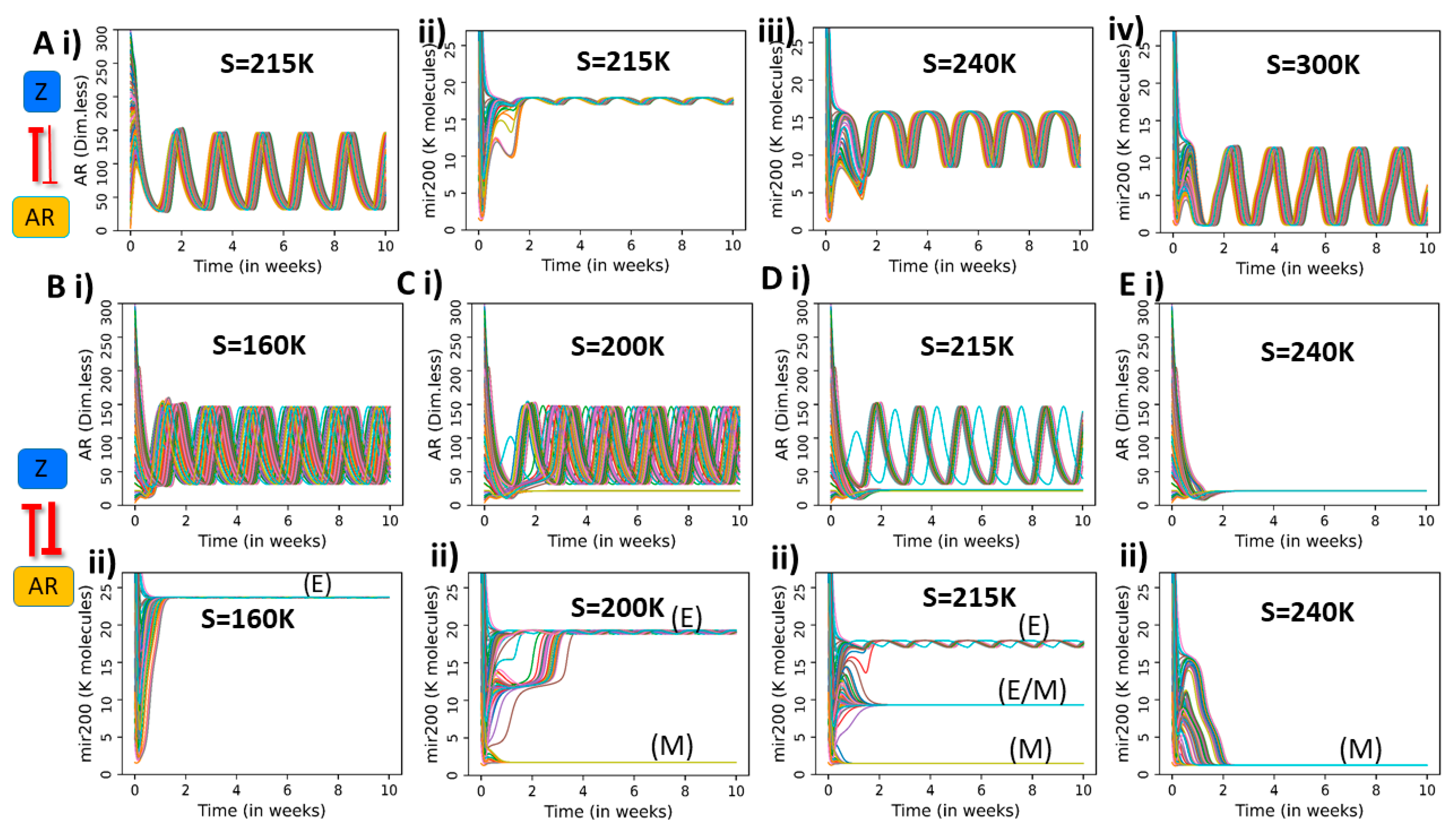 Entropy 23 00288 g004