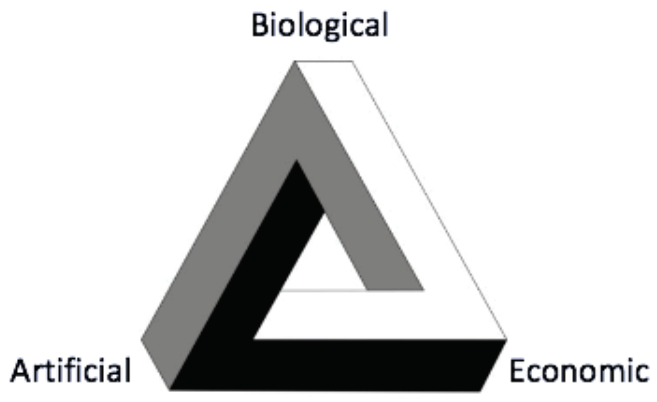 Entropy 23 00310 g001