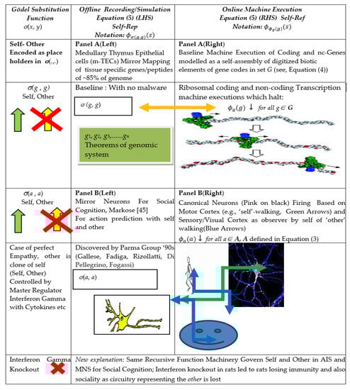 Entropy 23 00405 g001