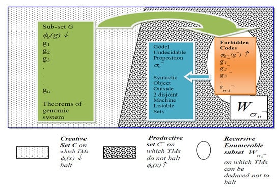 Entropy 23 00405 g002