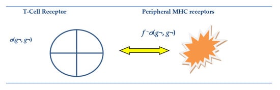 Entropy 23 00405 g004