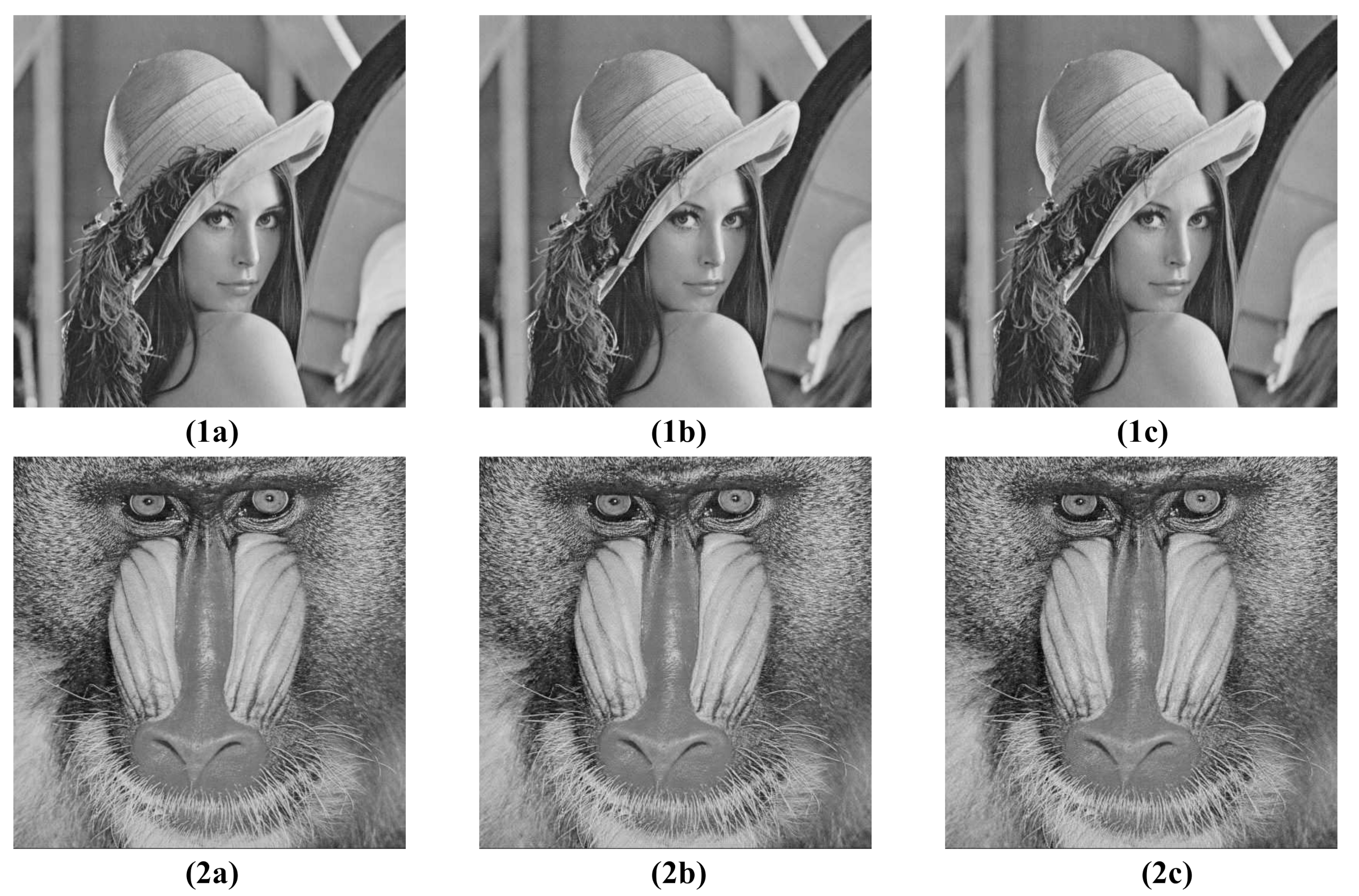 Entropy 23 00421 g012