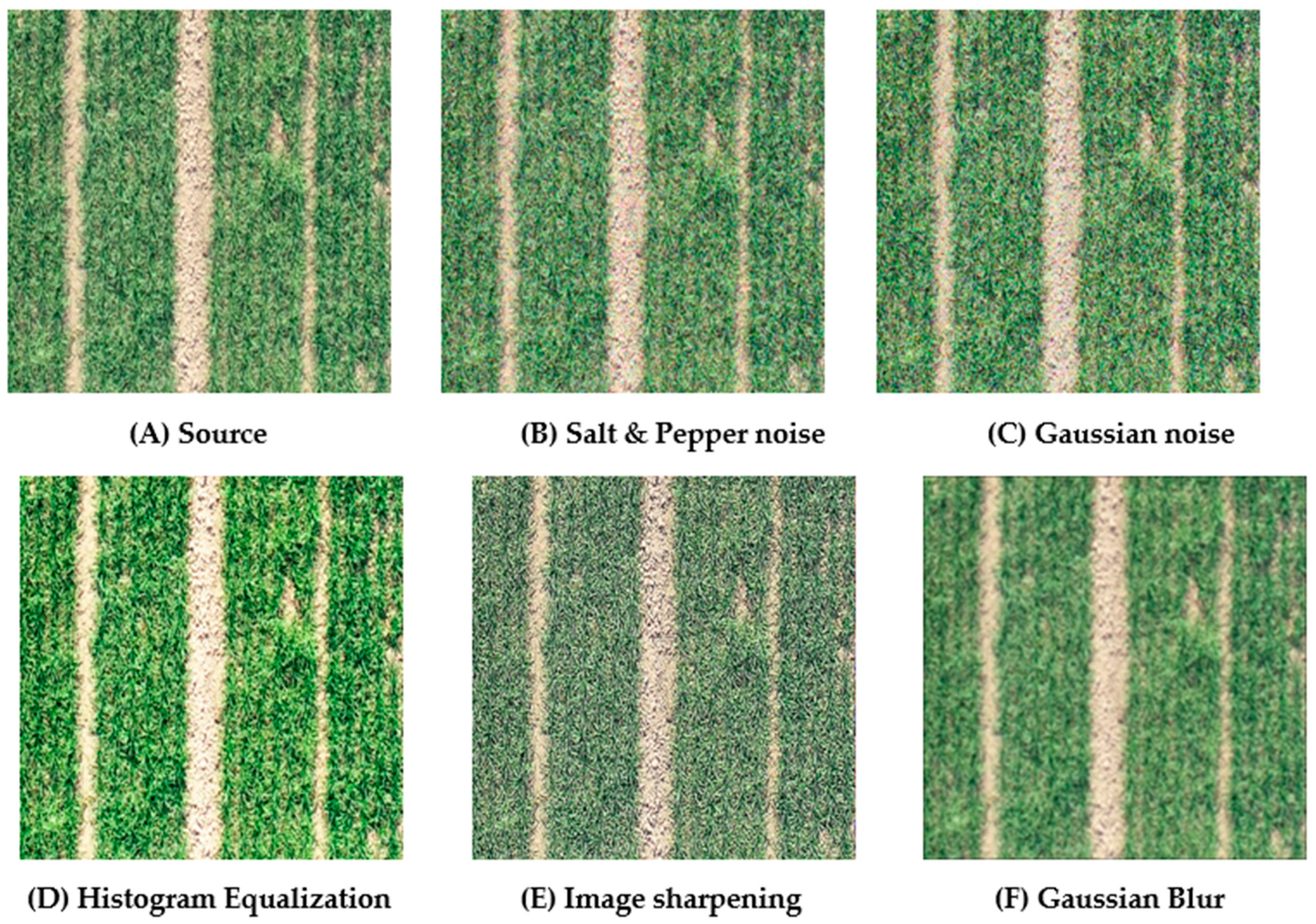 Entropy 23 00435 g001 Entropy 23 00435 g001