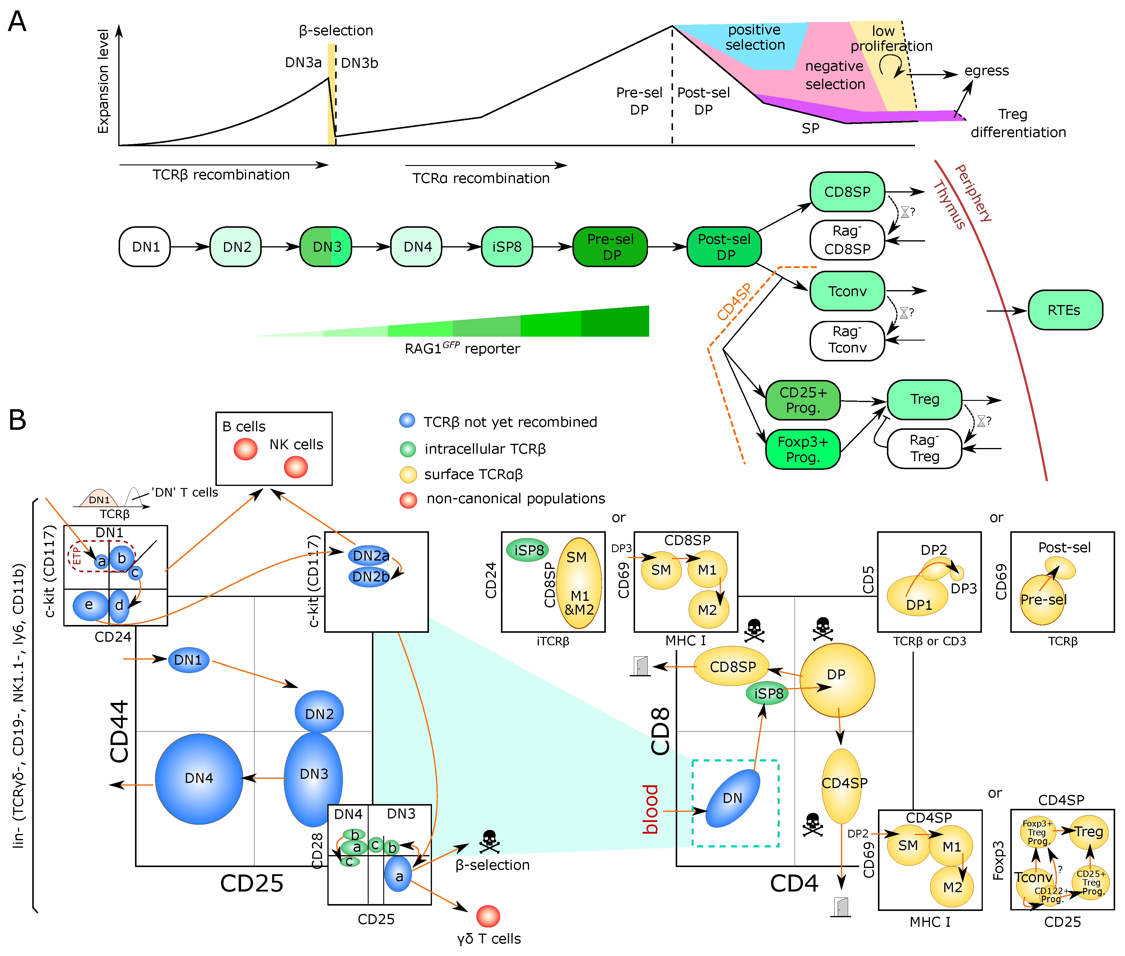 Entropy 23 00437 g001