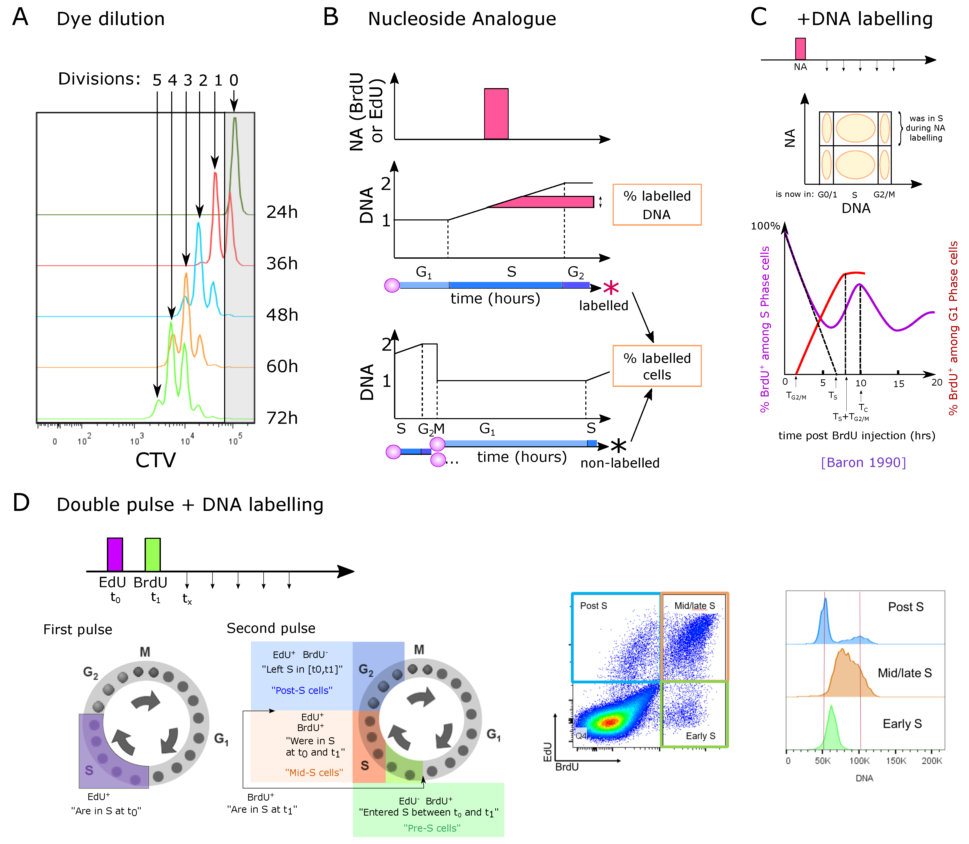 Entropy 23 00437 g004