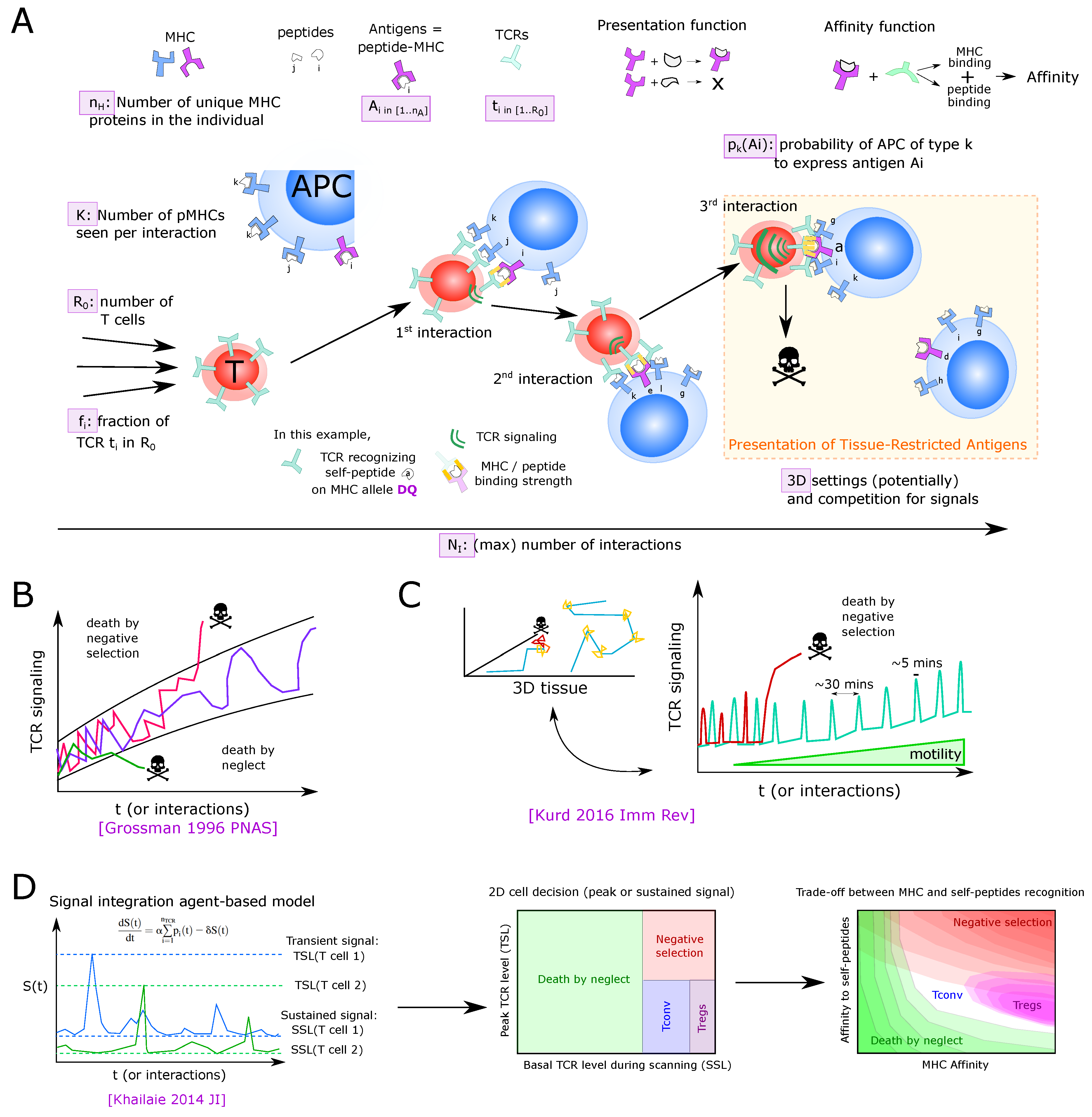 Entropy 23 00437 g006