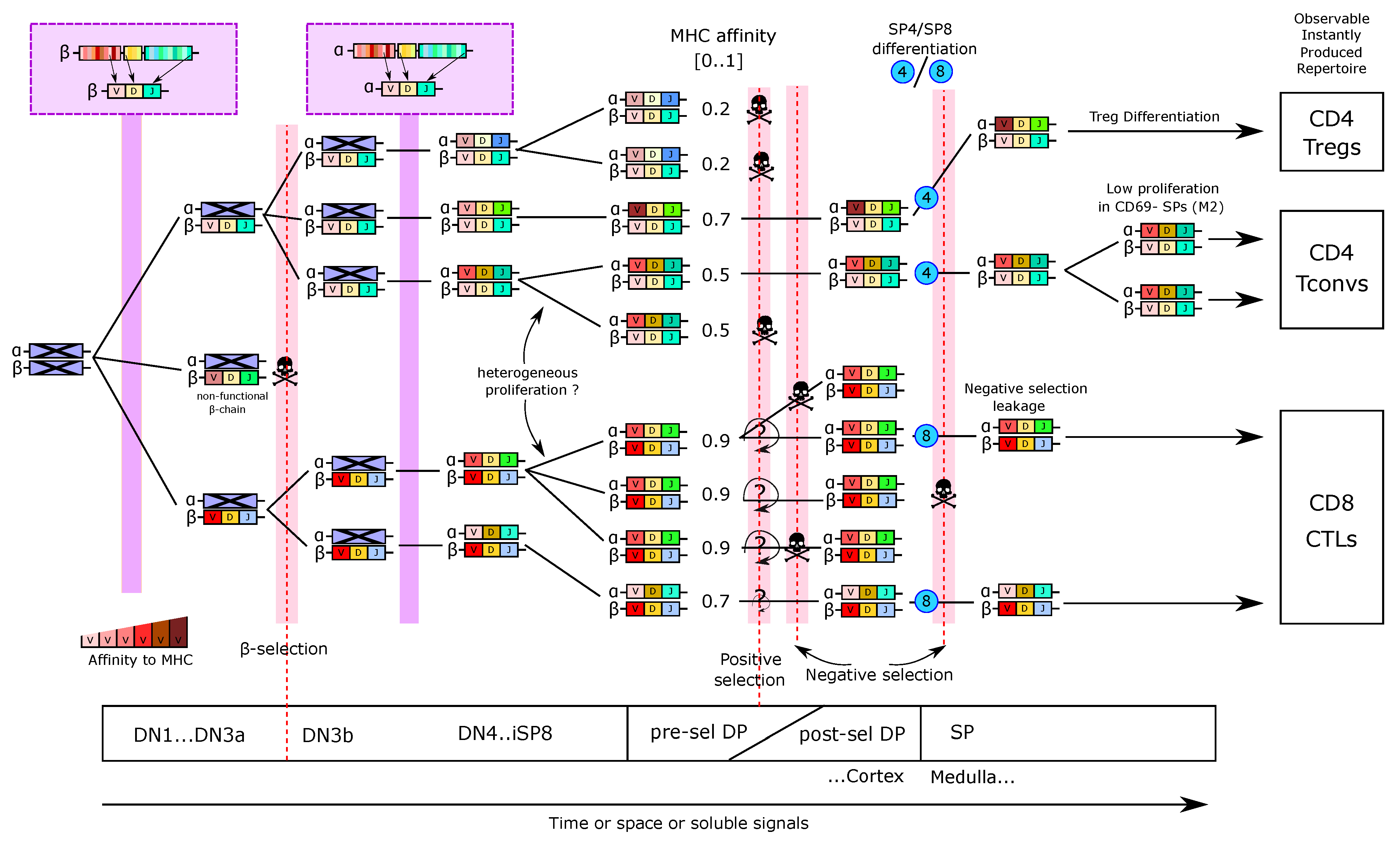 Entropy 23 00437 g007
