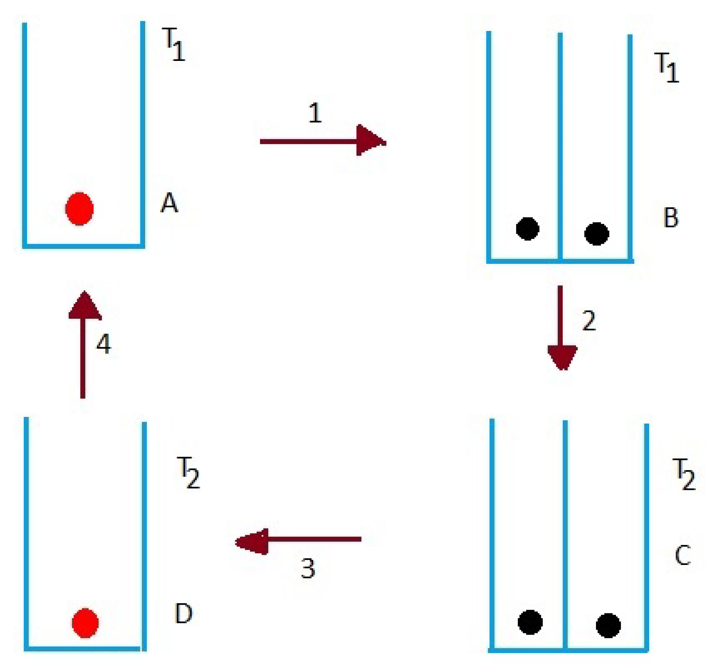 Entropy 23 00439 g005