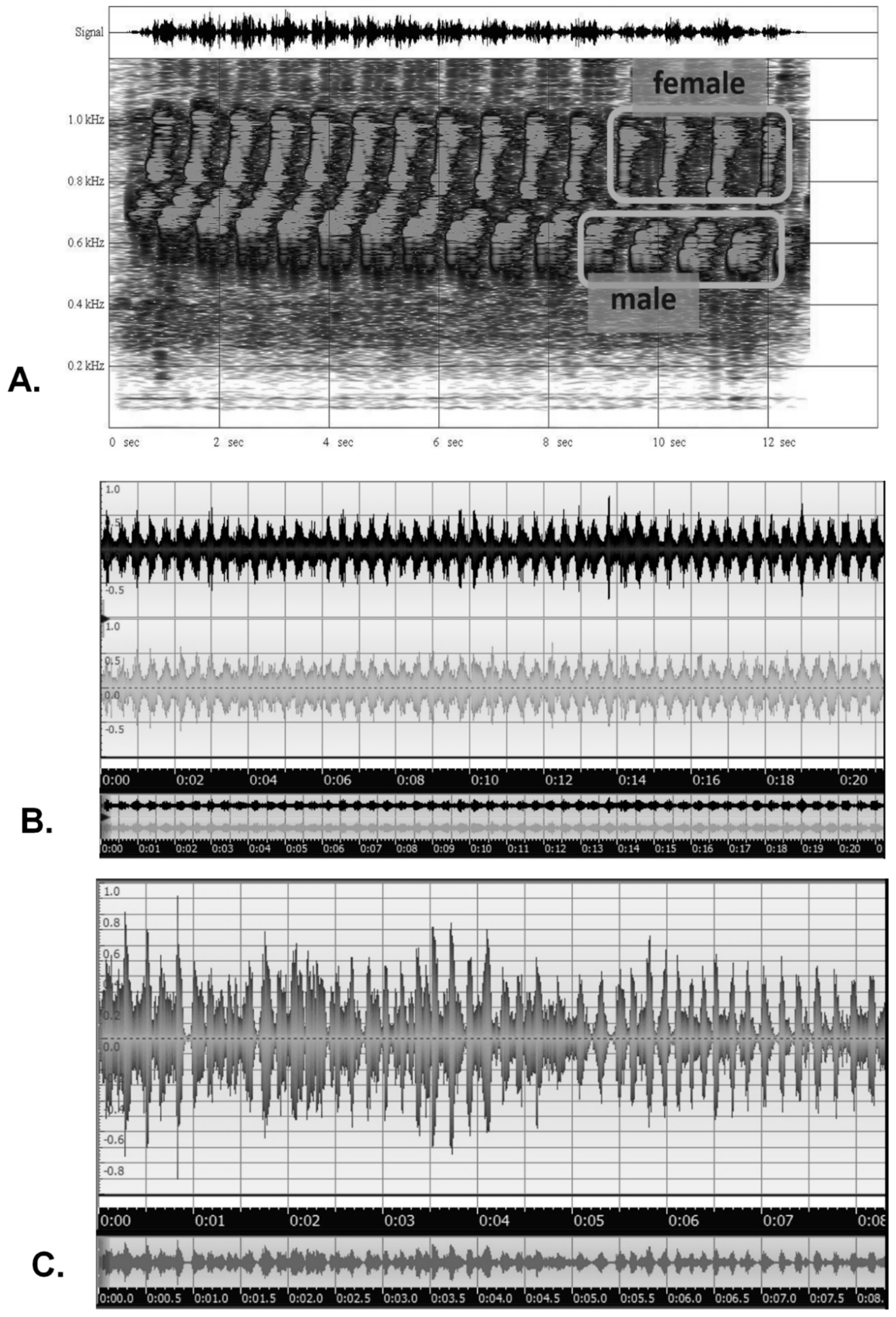 Entropy 23 00441 g008 Entropy 23 00441 g008