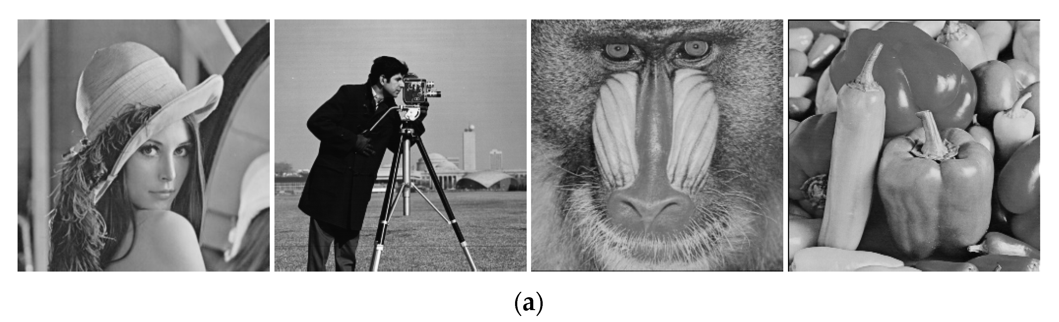 Entropy 23 00456 g018a