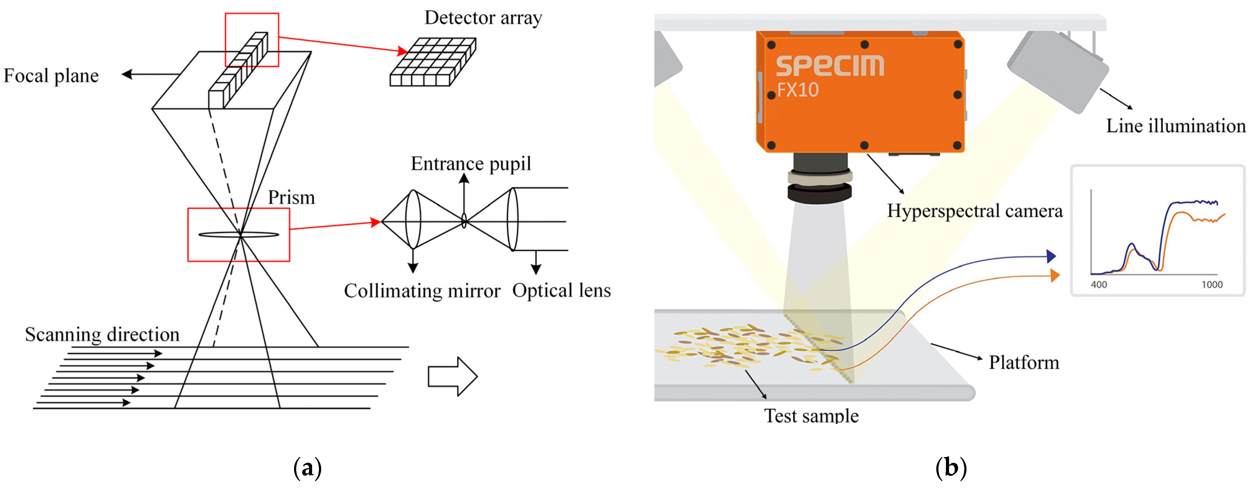 Entropy 23 00486 g001