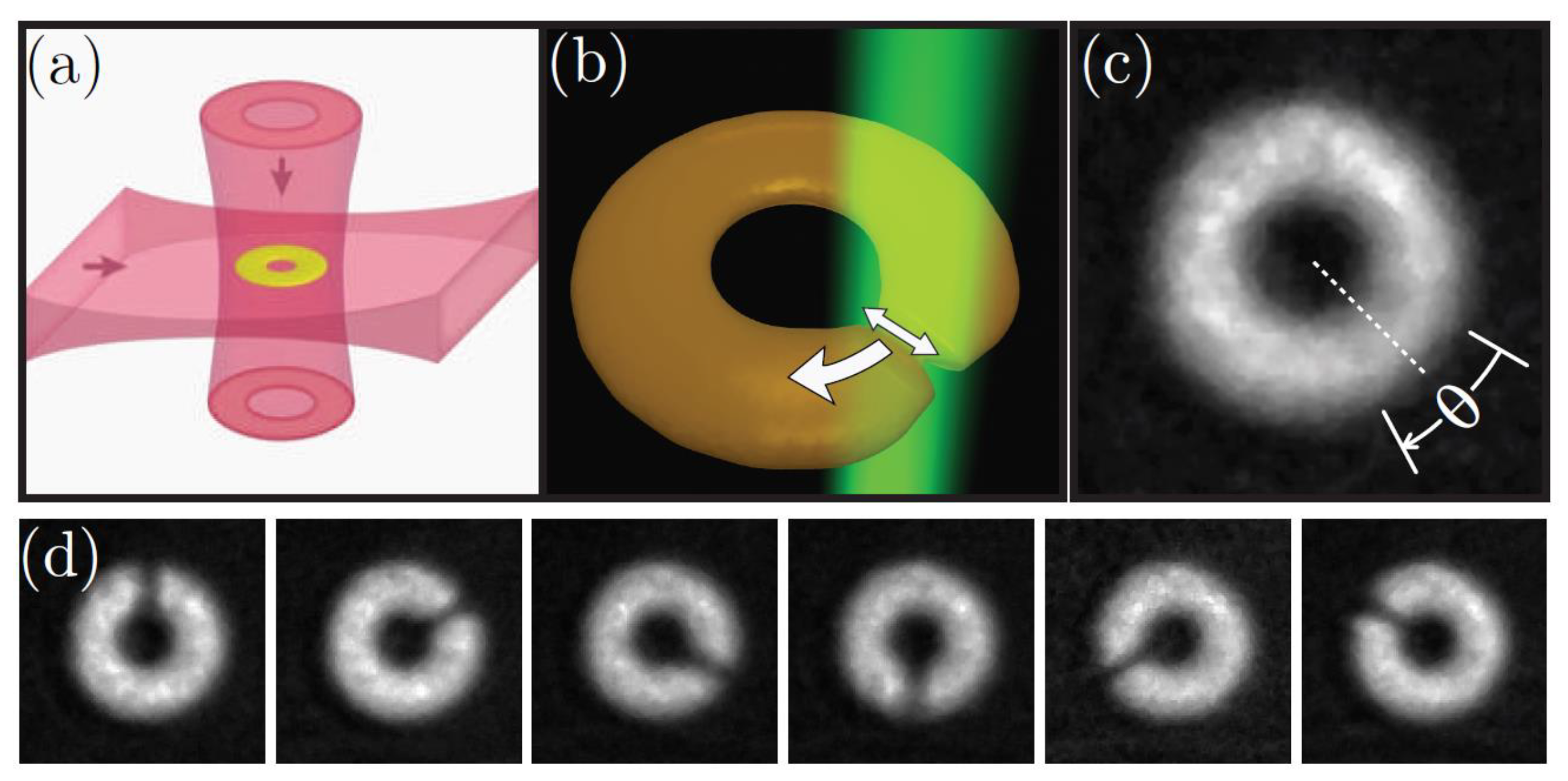 Entropy 23 00534 g003