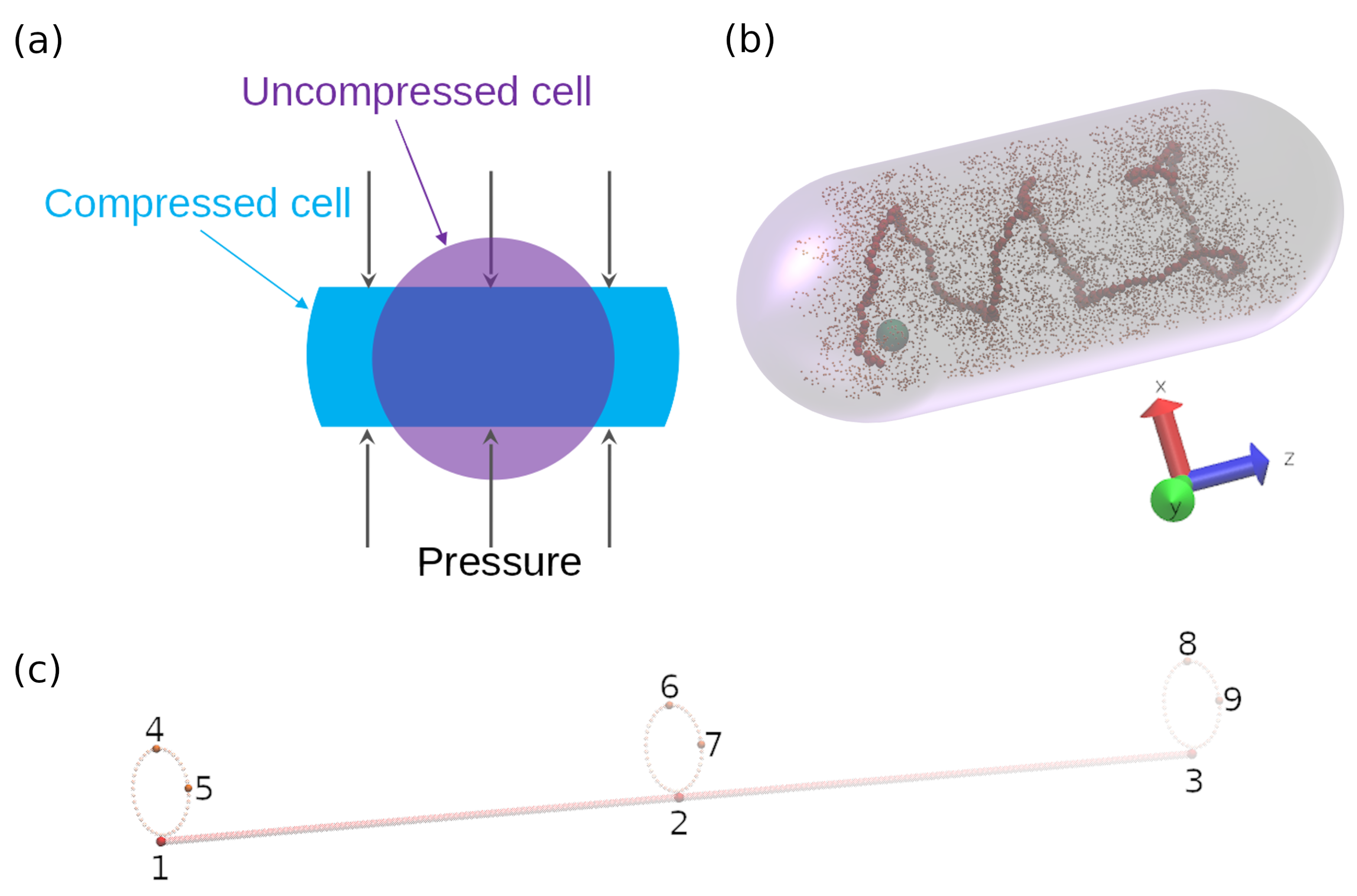 Entropy 23 00542 g001