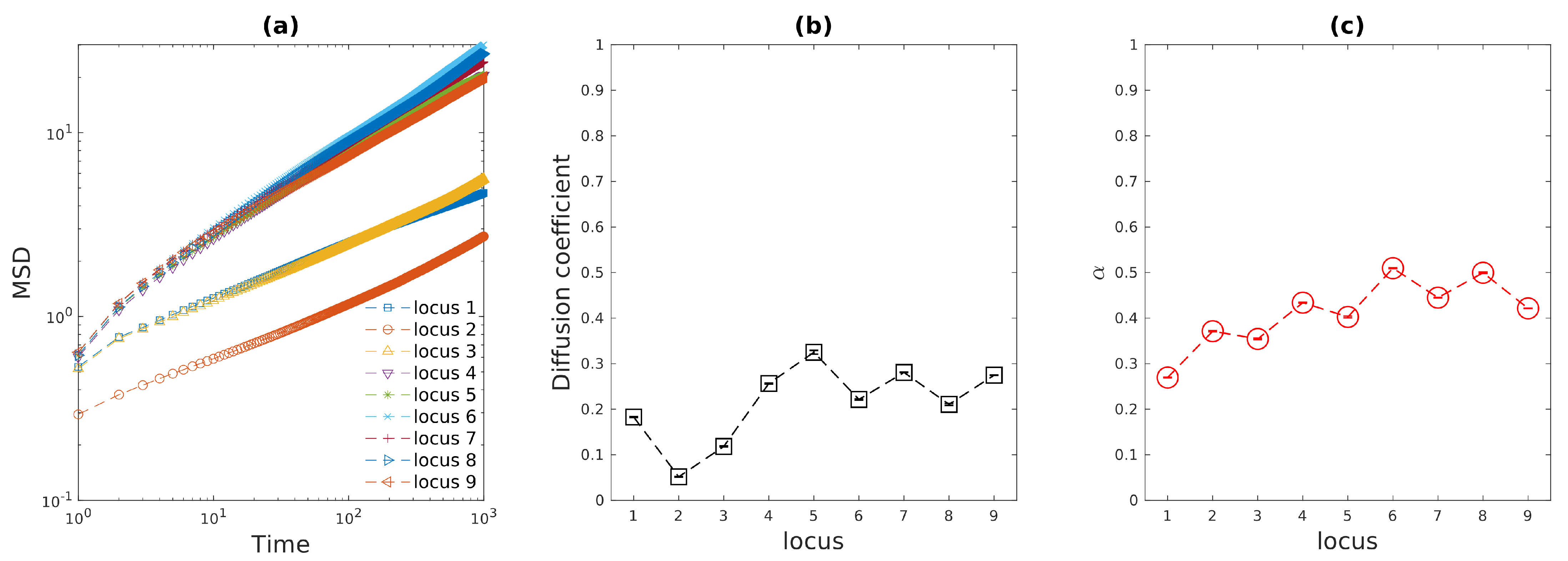 Entropy 23 00542 g003