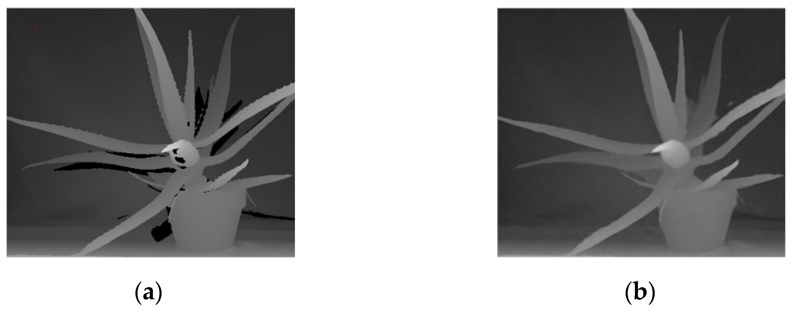 Entropy 23 00546 g003