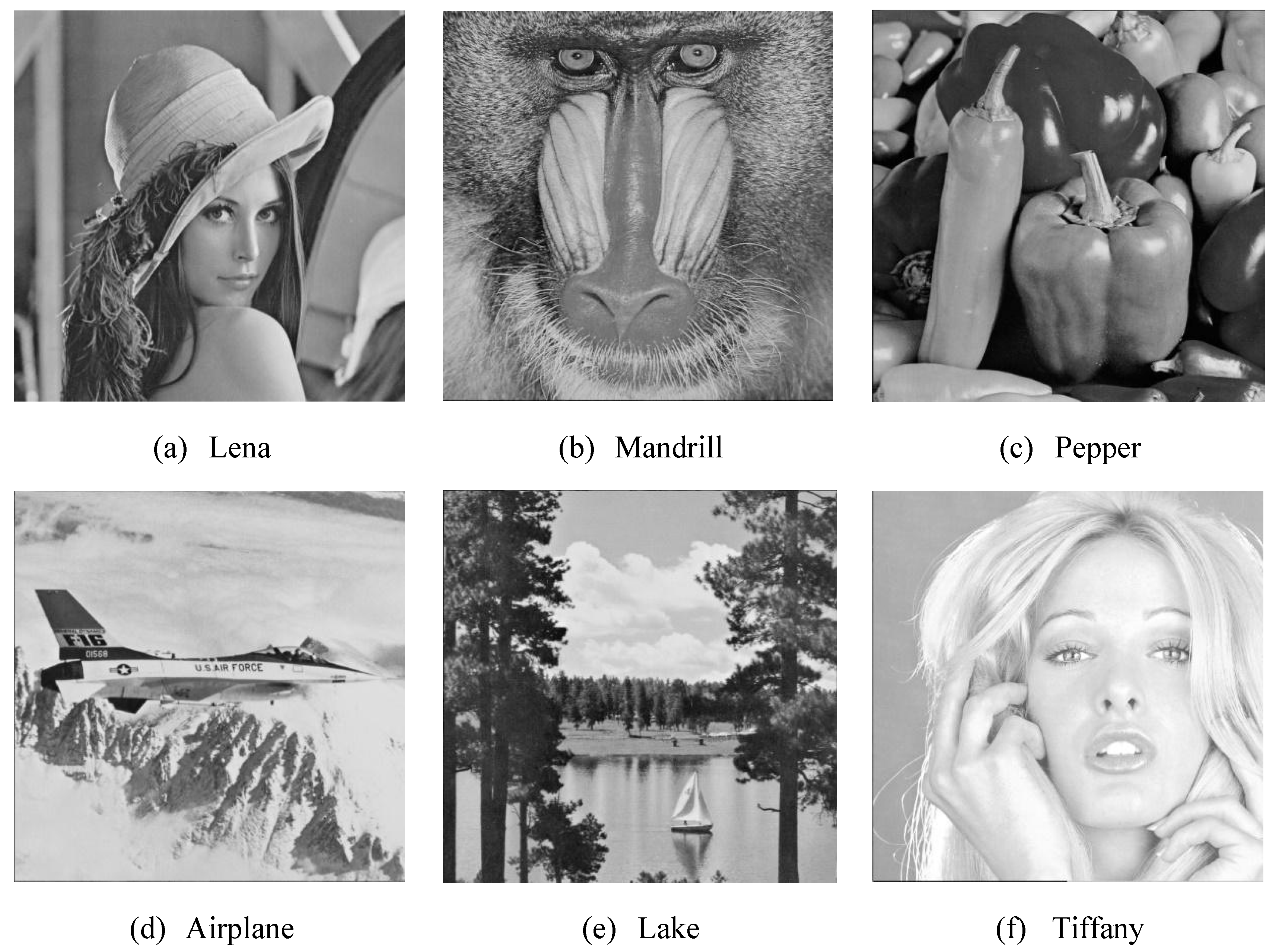 Entropy 23 00577 g010 Entropy 23 00577 g010