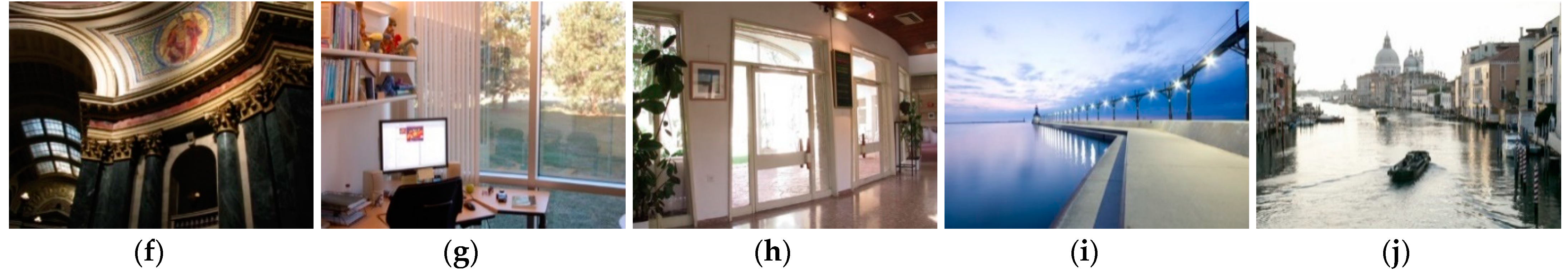 Entropy 23 00746 g005b