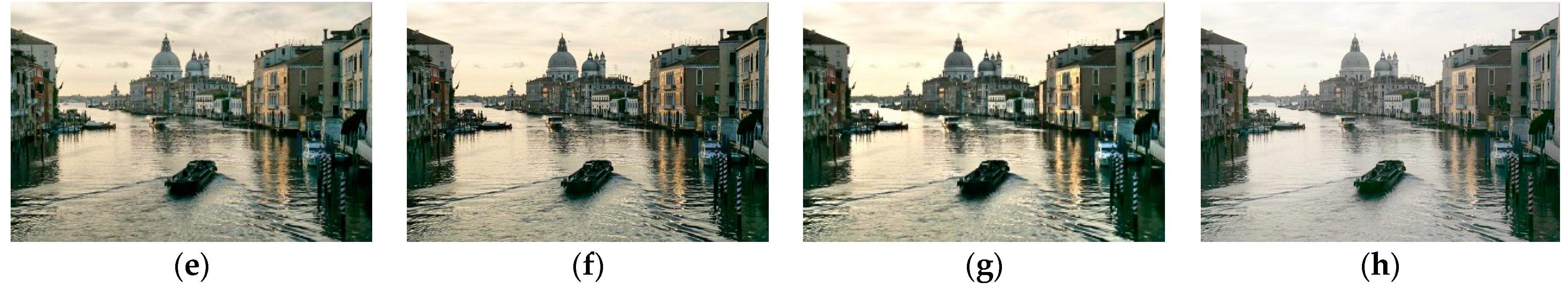 Entropy 23 00746 g016b