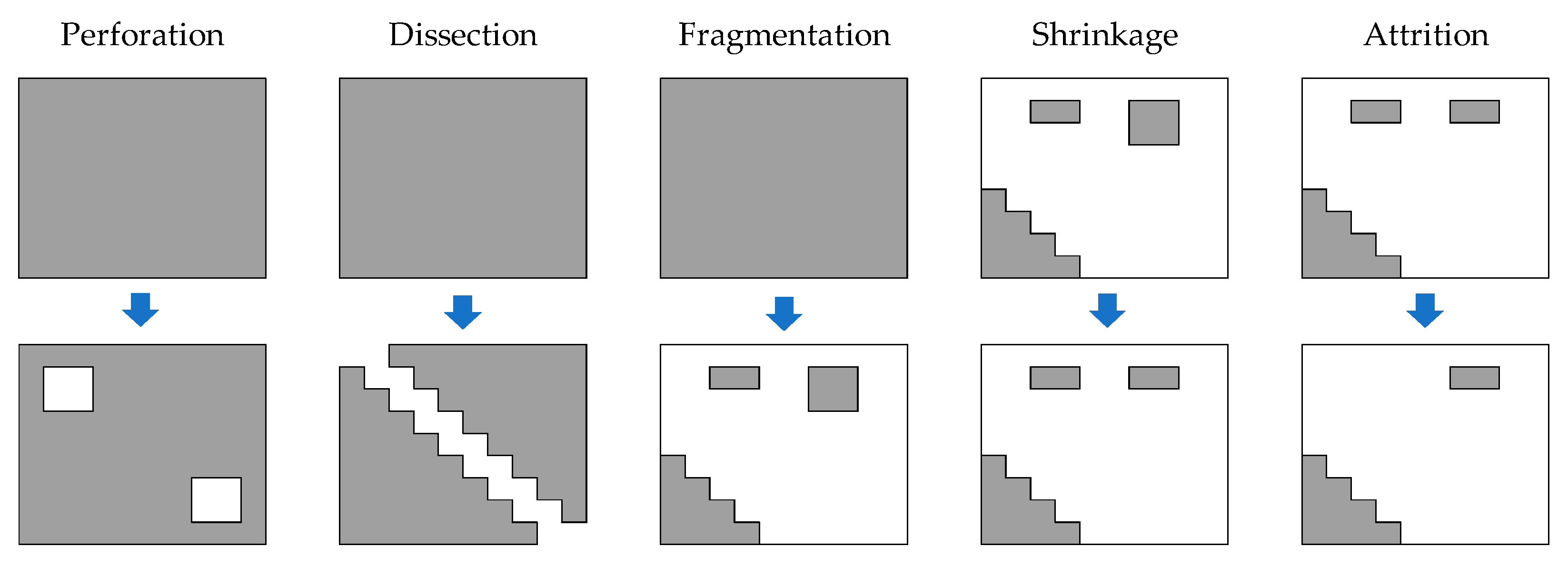 Entropy 23 00748 g003