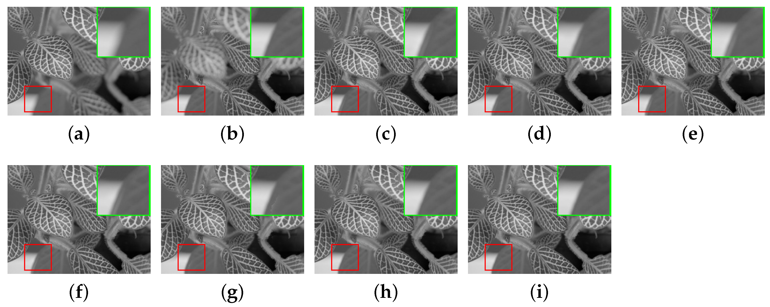 Entropy 23 00827 g008