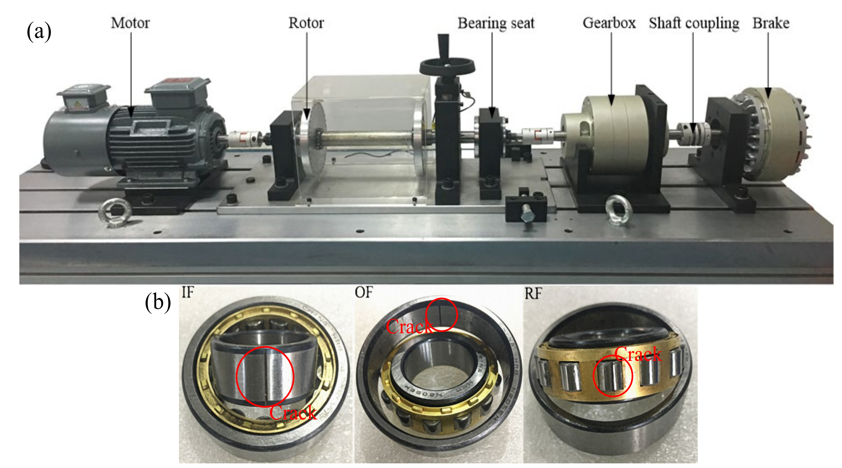 Entropy 23 01052 g004