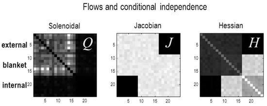 Entropy 23 01076 g0a1 550