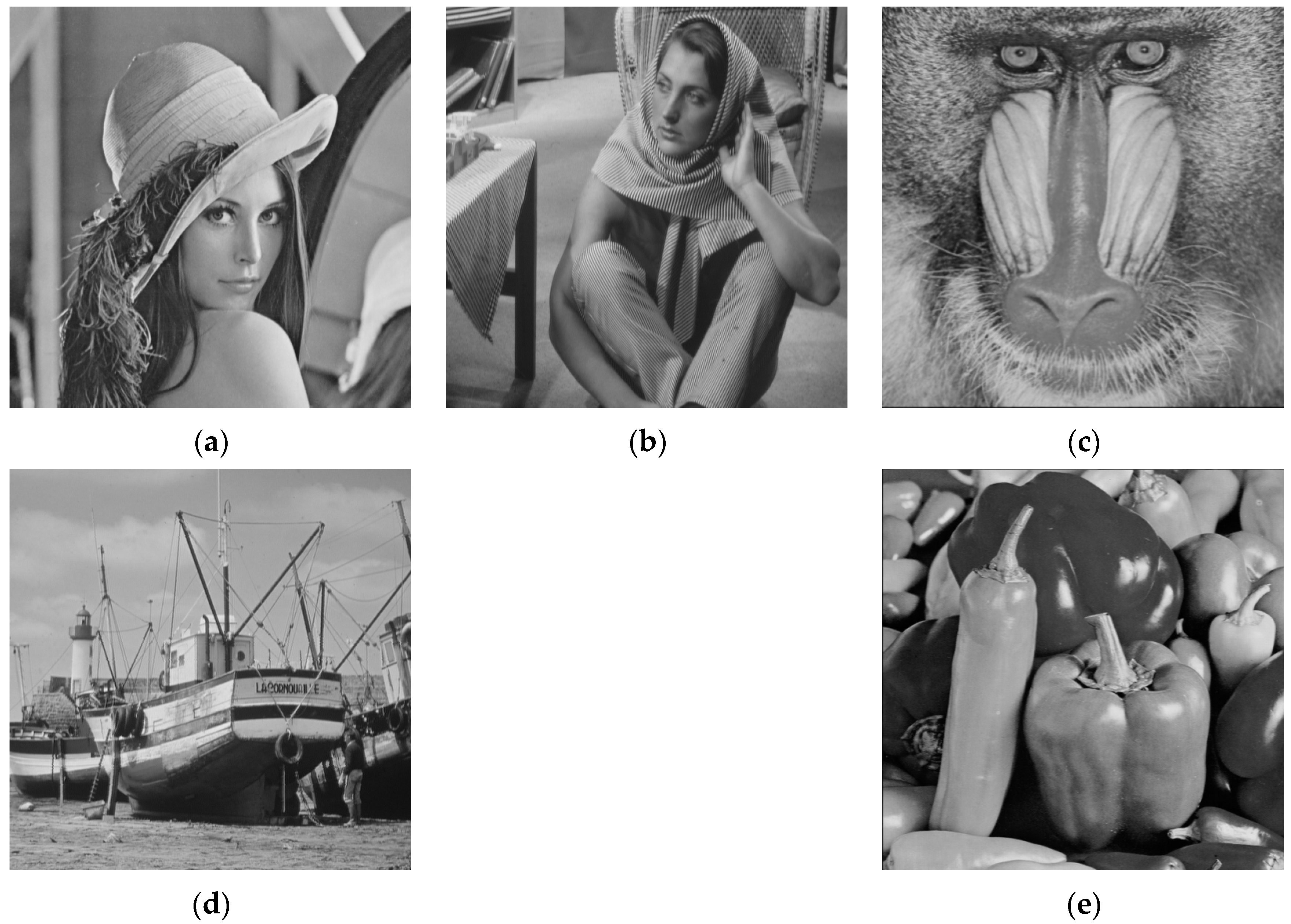 Entropy 23 01096 g008