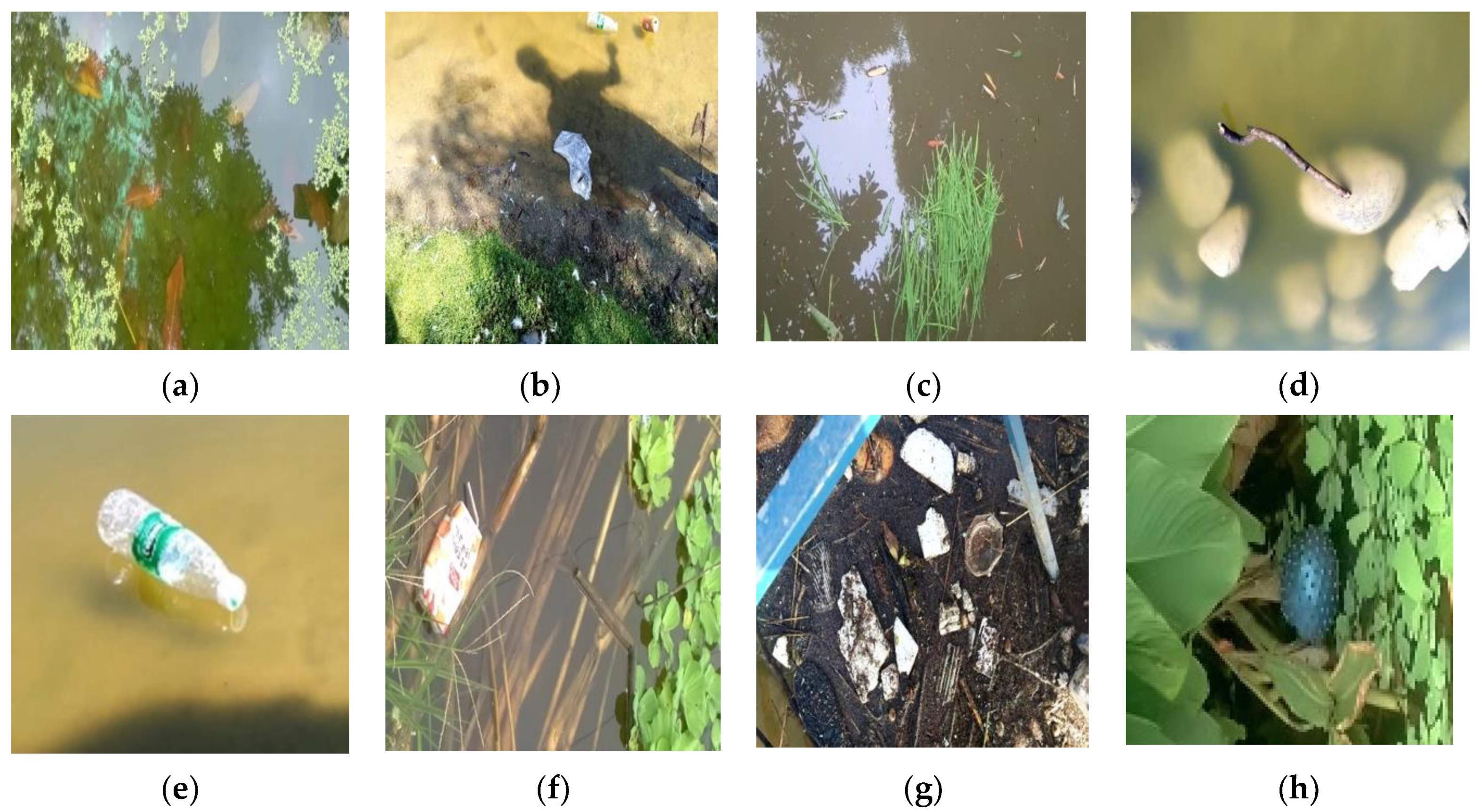 Entropy 23 01111 g007 Entropy 23 01111 g007