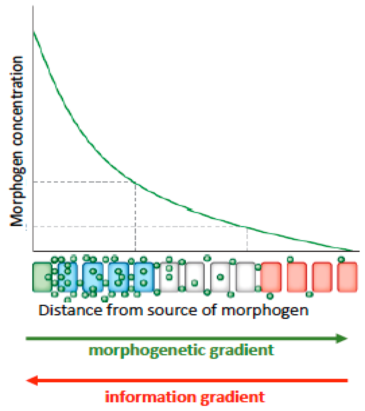Entropy 23 01141 g001