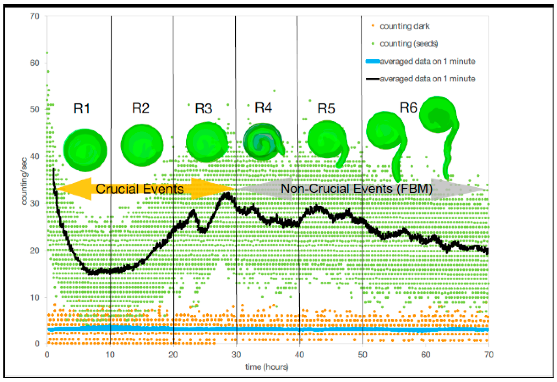 Entropy 23 01141 g003