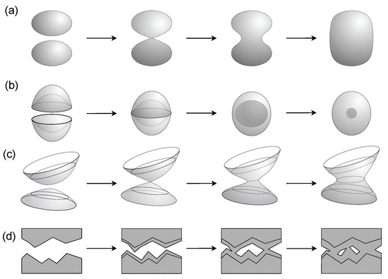 Entropy 23 01211 g0a3
