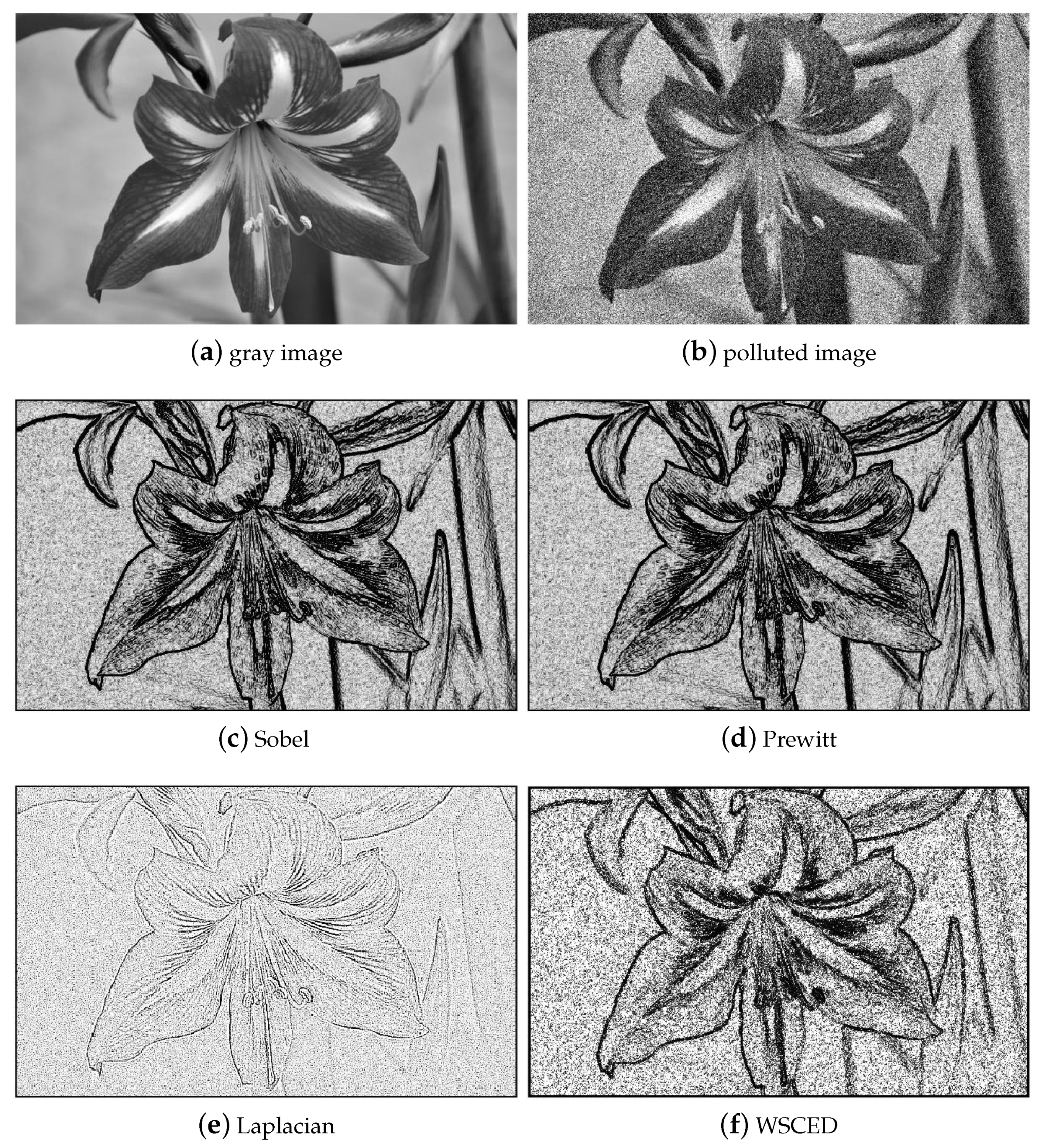Entropy 23 01214 g009 Entropy 23 01214 g009