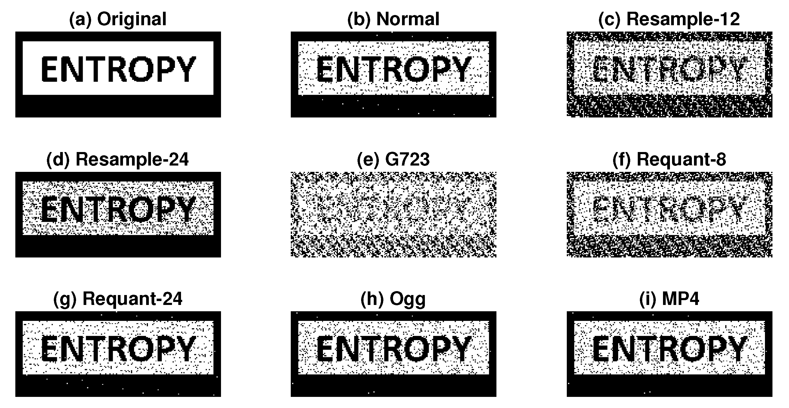 Entropy 23 01246 g014