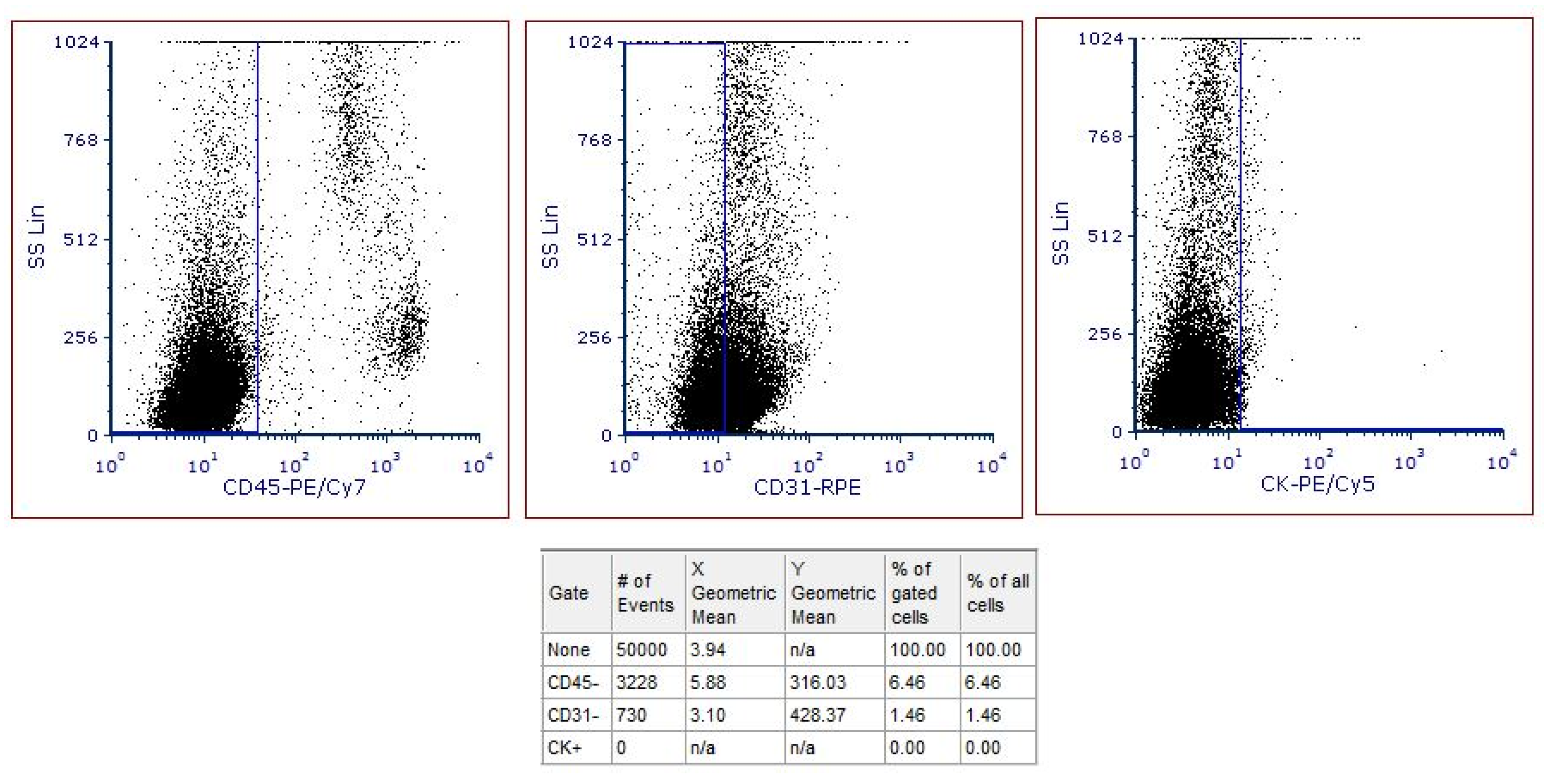 Entropy 23 01248 g002