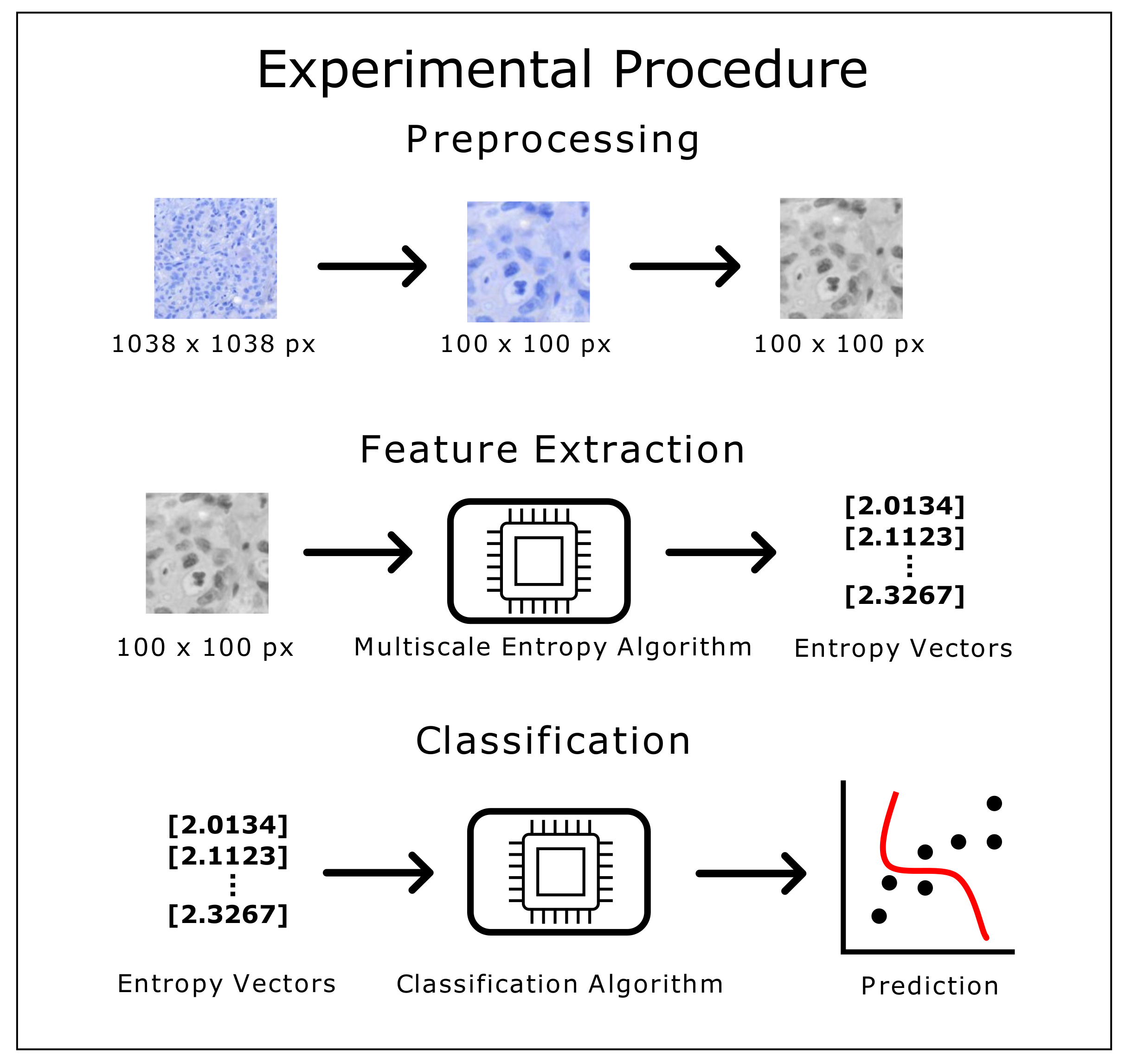 Entropy 23 01303 g001