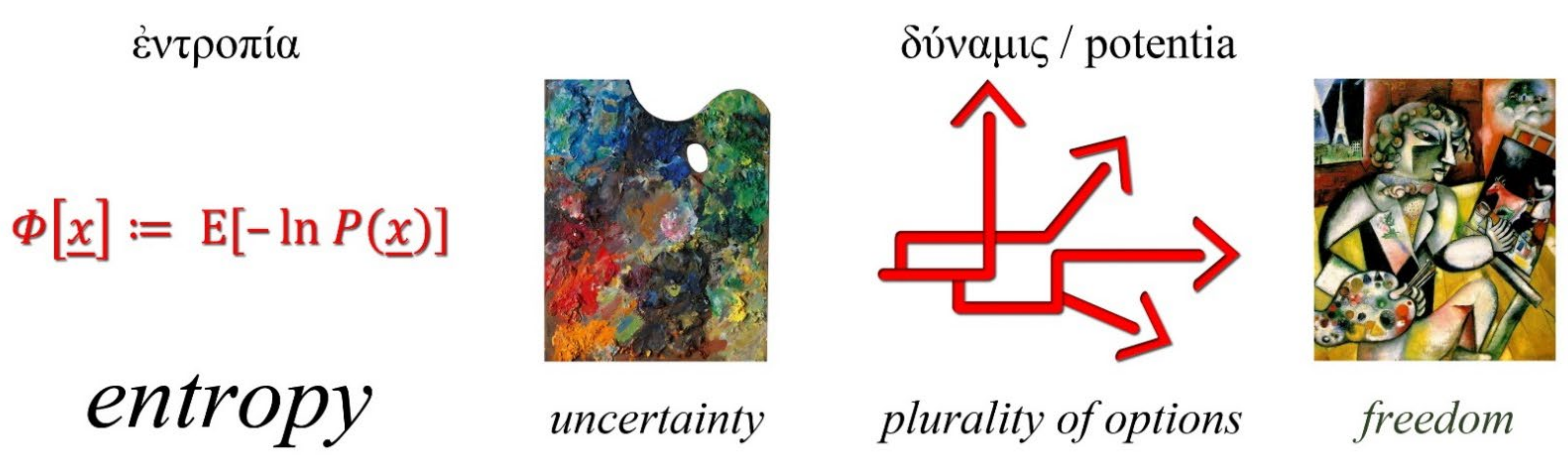 Entropy 23 01356 g004 Entropy 23 01356 g004